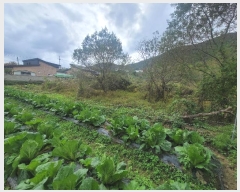  2024Ÿ8661  ֱ ε  441-3      ()