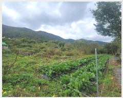  2024Ÿ8661  ֱ ε  441-3      ()