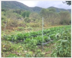  2024Ÿ8661  ֱ ε  441-3      ()