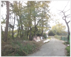  2024Ÿ��9350  �Ӿ߰��