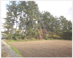  2024Ÿ��9350  �Ӿ߰��