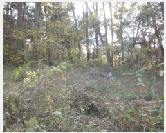  2024Ÿ��9350  �Ӿ߰��