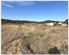  2024Ÿ��9985  �������