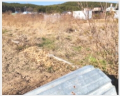  2024Ÿ��9985  �������