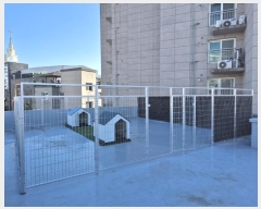  2024Ÿ��10305 ��� ���� ���ε� 272-1       ���ð��