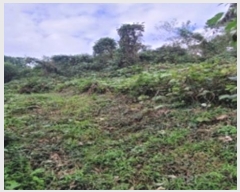  2024Ÿ��110274 �泲 ���� �ٹ浿 195-14       ����(�Ӿ�)���