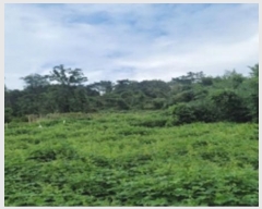  2024Ÿ��110274 �泲 ���� �ٹ浿 195-14       ����(�Ӿ�)���