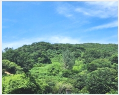  2024Ÿ��110274 �泲 ���� �ٹ浿 195-14       ����(�Ӿ�)���