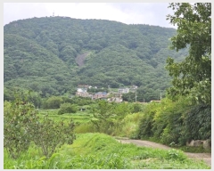  2024Ÿ111130  ֱ ε  275-46      (Ӿ)