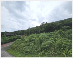  2024Ÿ111130  ֱ ε  275-46      (Ӿ)