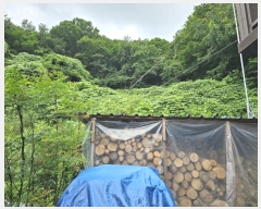  2024Ÿ111130  ֱ ε  275-46      (Ӿ)