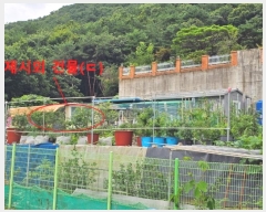  2024Ÿ111130  ֱ ε  275-46      (Ӿ)