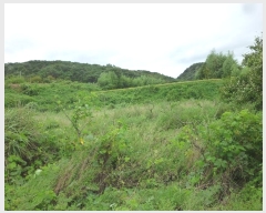  2024Ÿ114207  ϱ  121       ()