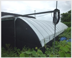  2024Ÿ114207  ϱ  121       ()