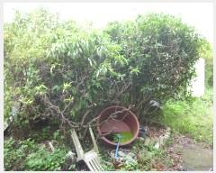  2024Ÿ114207  ϱ  121       ()