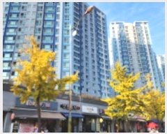  2024Ÿ117800 泲   ݿ16 100, 301 7702ȣ ()   Ʈ