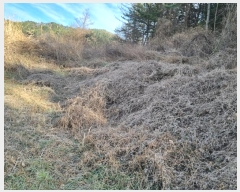  2024Ÿ��120059  �����