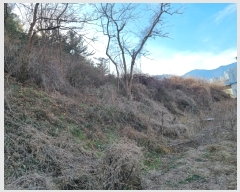  2024Ÿ��120059  �����