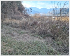  2024Ÿ��120059  �����