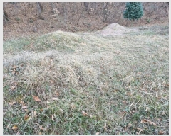  2024Ÿ��120059  �����