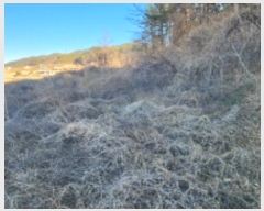  2024Ÿ��120059  �����