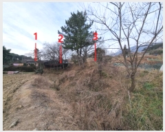  2024Ÿ120479 泲  Ϻϸ 긮 267      ,繫ǰ