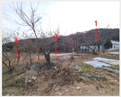  2024Ÿ120479 泲  Ϻϸ 긮 267      ,繫ǰ