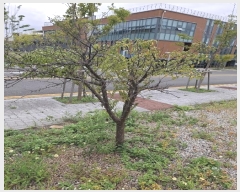  2024Ÿ8449  ϱ ȣ赿 1019-3       ٸü,󰡰