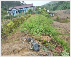  2024Ÿ��8517 ��� ���ֱ� ������ ȭ�긮 383-9      ����(������)���