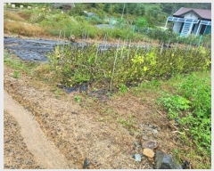  2024Ÿ��8517 ��� ���ֱ� ������ ȭ�긮 383-9      ����(������)���