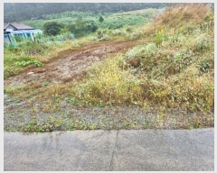  2024Ÿ��8517 ��� ���ֱ� ������ ȭ�긮 383-9      ����(������)���