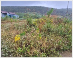  2024Ÿ��8517 ��� ���ֱ� ������ ȭ�긮 383-9      ����(������)���