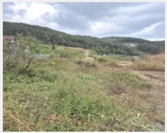  2024Ÿ��8517 ��� ���ֱ� ������ ȭ�긮 383-9      ����(������)���