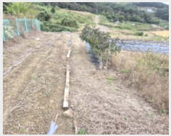  2024Ÿ��8517 ��� ���ֱ� ������ ȭ�긮 383-9      ����(������)���