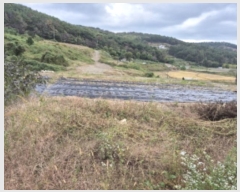  2024Ÿ��8517 ��� ���ֱ� ������ ȭ�긮 383-9      ����(������)���