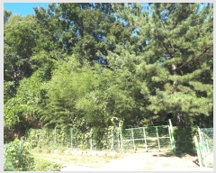  2024Ÿ8678  ֱ   380-1      ()