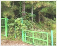  2024Ÿ8678  ֱ   380-1      ()