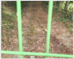  2024Ÿ8678  ֱ   380-1      ()