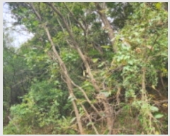  2024Ÿ8678  ֱ   380-1      ()