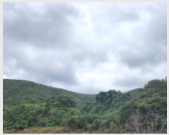  2024Ÿ8678  ֱ   380-1      ()