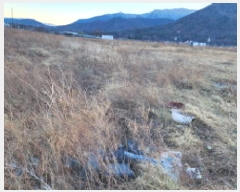  2024Ÿ9695  ֱ ϸ Ÿ 802      ()