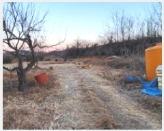  2024Ÿ9695  ֱ ϸ Ÿ 802      ()