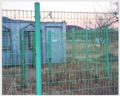  2024Ÿ9695  ֱ ϸ Ÿ 802      ()