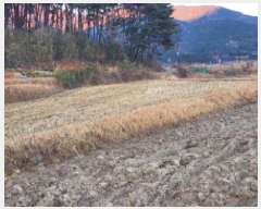  2024Ÿ9695  ֱ ϸ Ÿ 802      ()