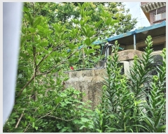  2024Ÿ110168  ߱  257-12       ()