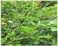  2024Ÿ110168  ߱  257-12       ()