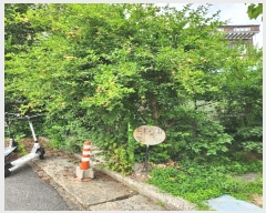  2024Ÿ110168  ߱  257-12       ()