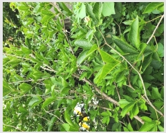  2024Ÿ110168  ߱  257-12       ()