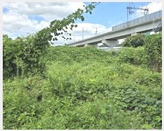  2024Ÿ��114108 ��� ���ֱ� ������ ȭ�긮 749      ����,â�����