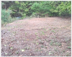  2024Ÿ��116784  �Ӿ߰��